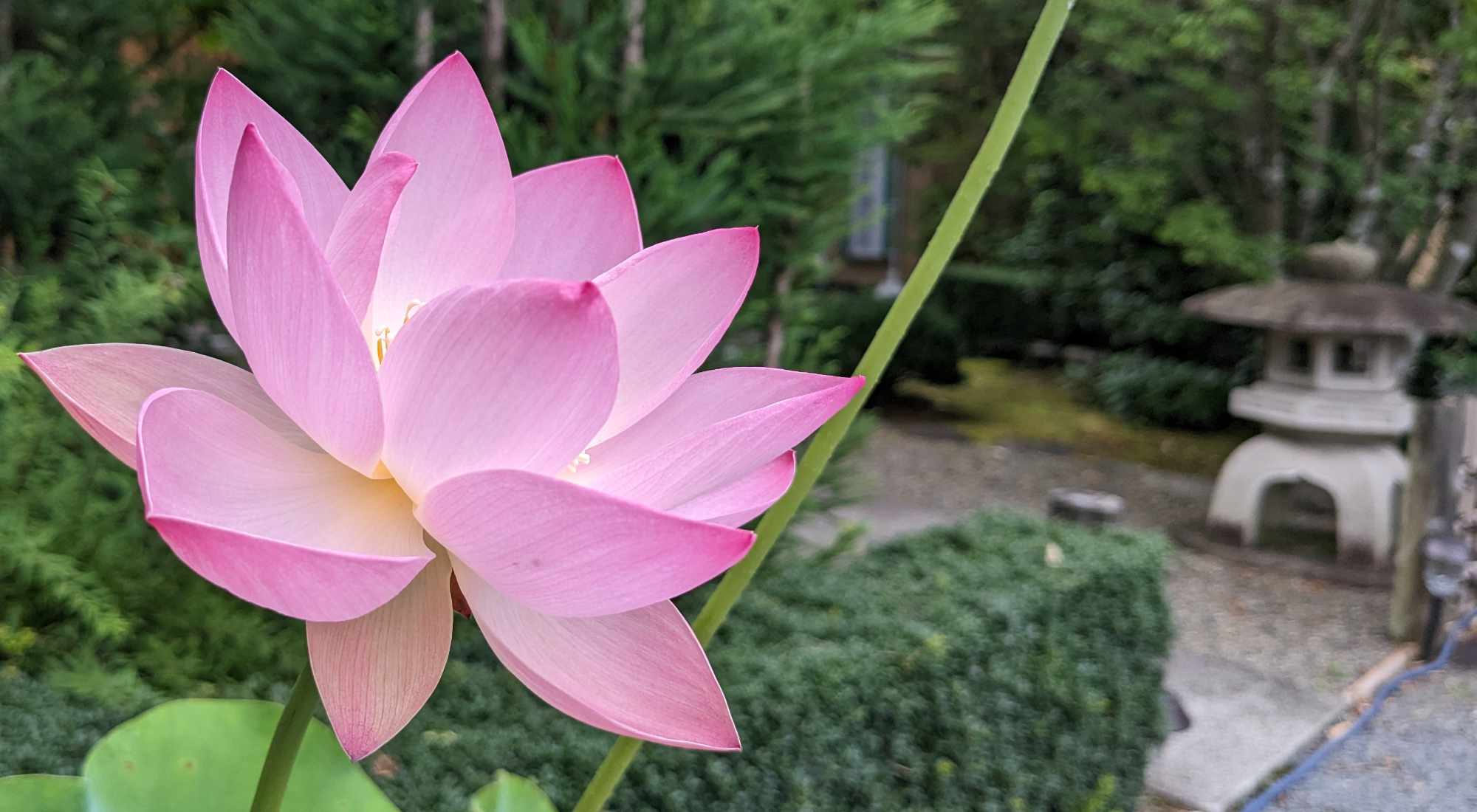 九識霊断一心寺-お寺でお悩み相談-日蓮宗寺院