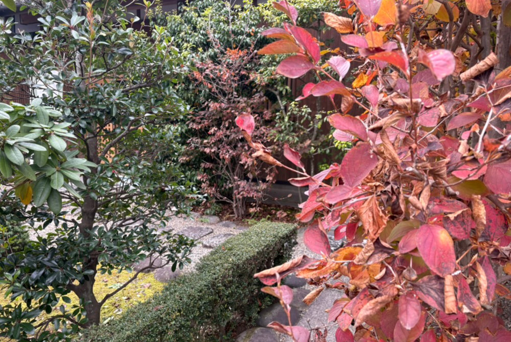 住職が作務行で掃除をして、清潔さを保つ境内の様子